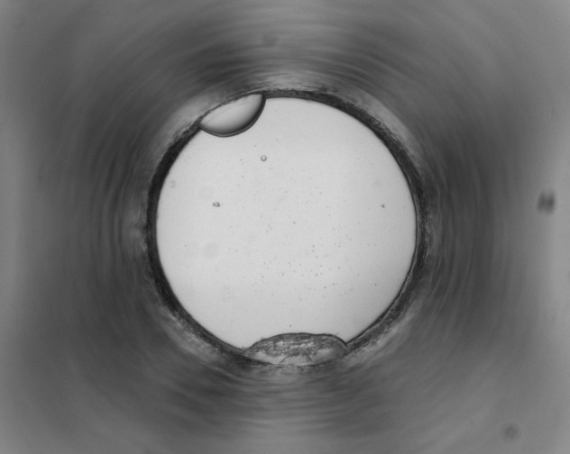 X0000101420930200808041124