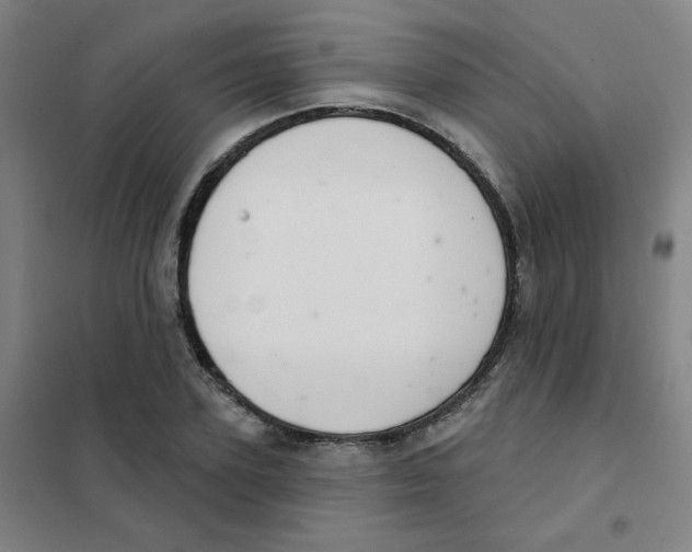 X0000101420931200808041124