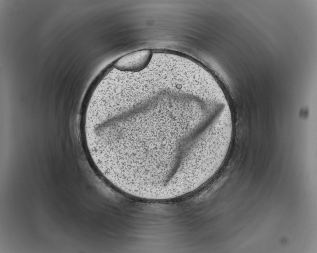 X0000101420932200808041124