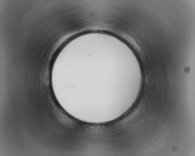 X0000101420934200808041124
