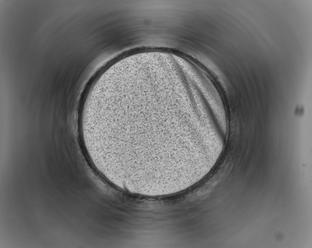 X0000101420935200808041124