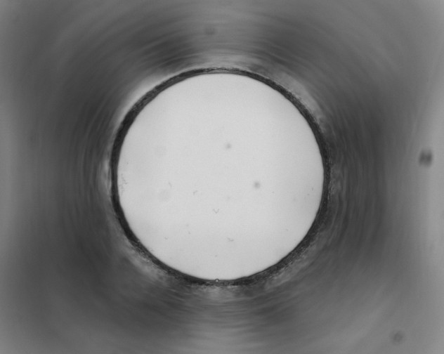 X0000101420936200808041124
