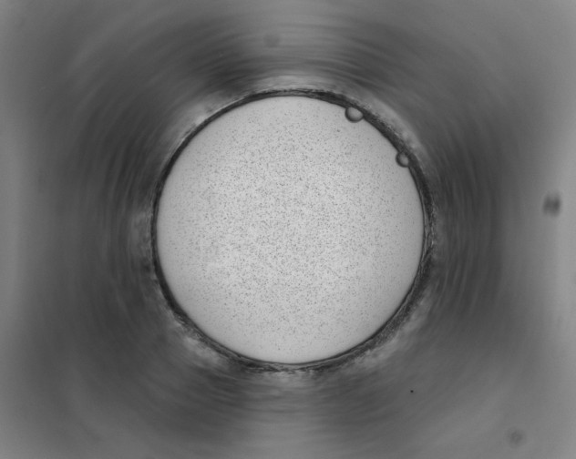 X0000101420937200808041124