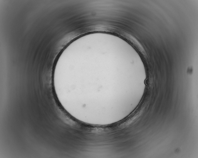 X0000101420938200808041124