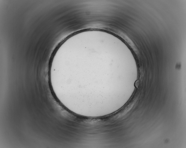 X0000101420939200808041124