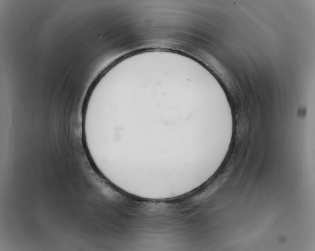 X0000101420940200808041124