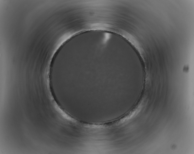 X0000101420941200808041124