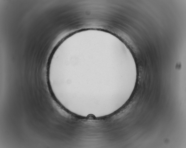 X0000101420942200808041124