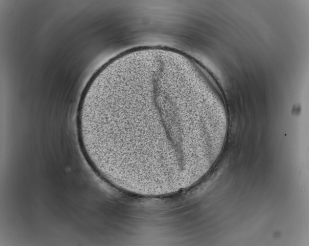 X0000101420943200808041124