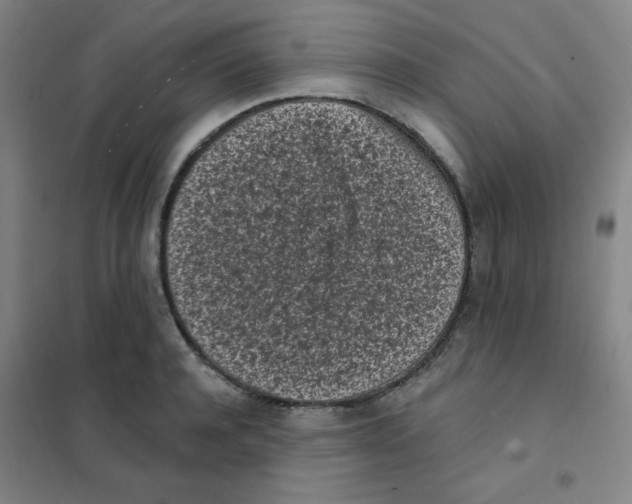 X0000101420944200808041124