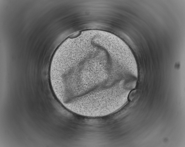X0000101420946200808041124