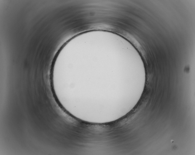 X0000101420947200808041124
