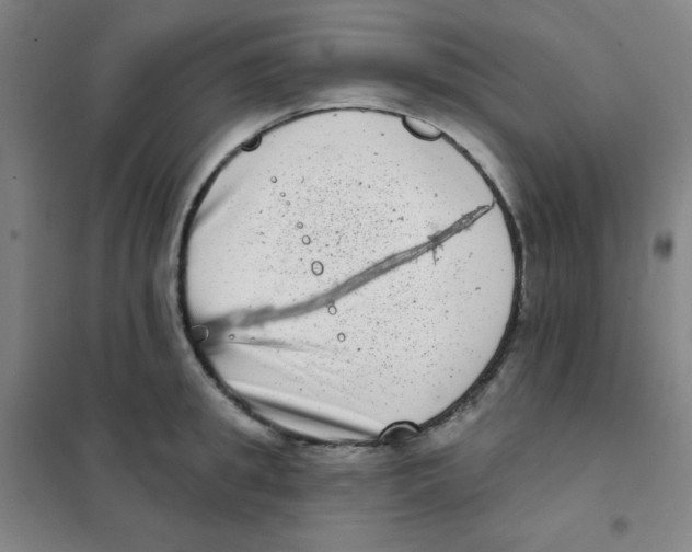 X0000101420949200808041124