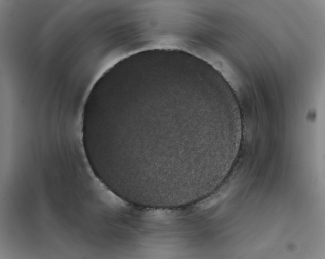 X0000101420950200808041124