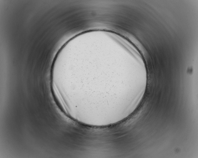 X0000101420951200808041125