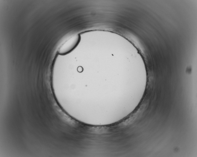 X0000101420952200808041125