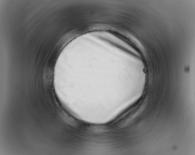 X0000101420953200808041125