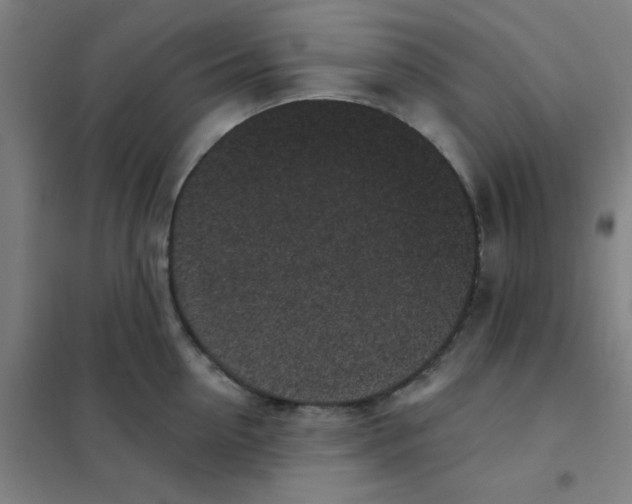 X0000101420954200808041125