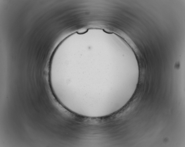 X0000101420955200808041125