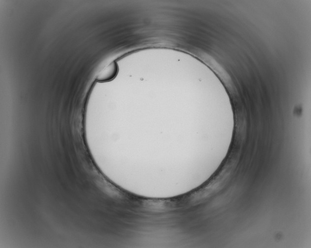X0000101420956200808041125