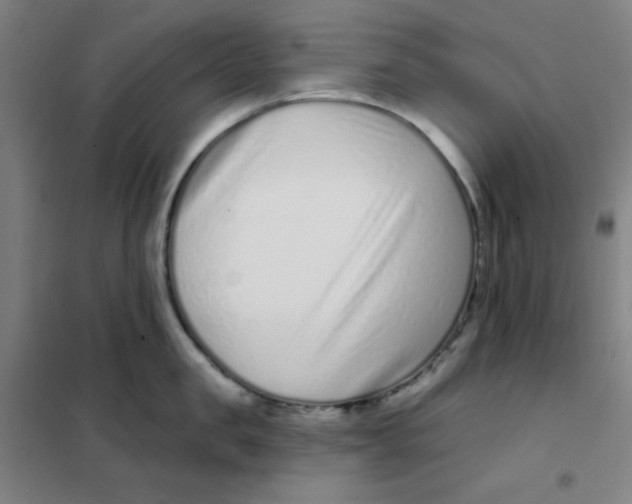 X0000101420957200808041125
