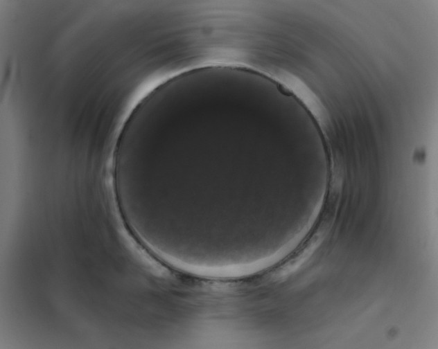X0000101420958200808041125