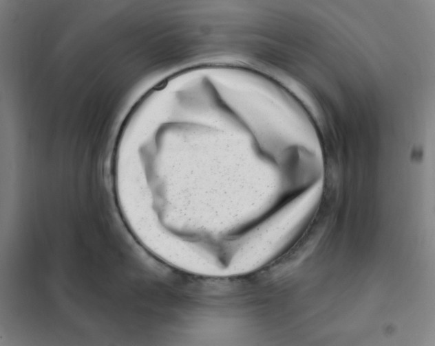 X0000101420959200808041125