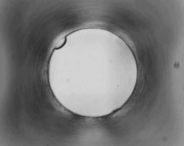 X0000101420960200808041125