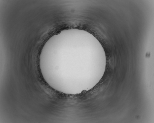 X0000101420961200808041124