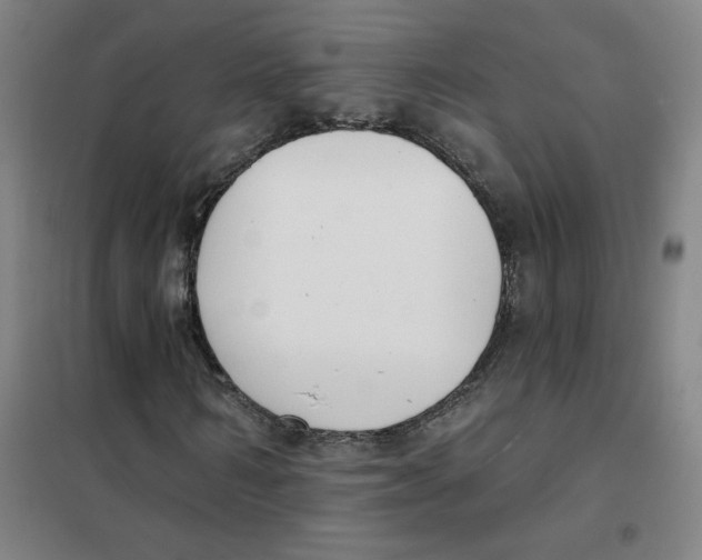 X0000101420962200808041124