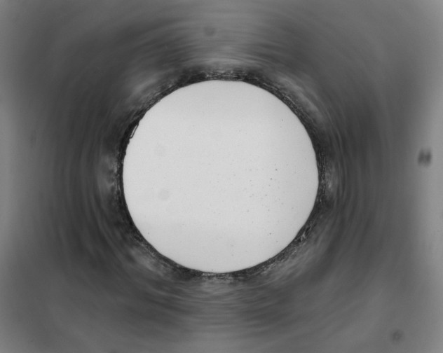 X0000101420964200808041124