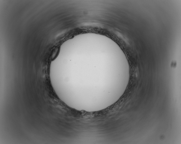 X0000101420965200808041124