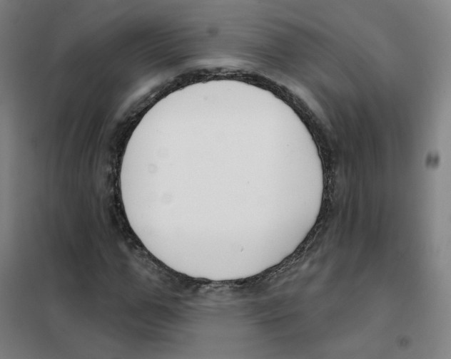 X0000101420967200808041124