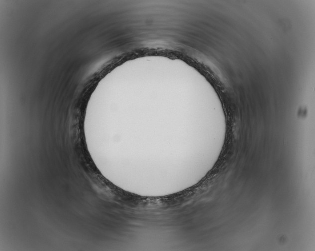 X0000101420968200808041124