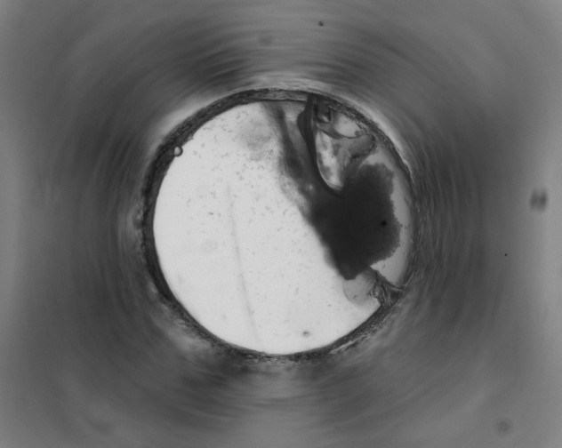 X0000101420971200808041124
