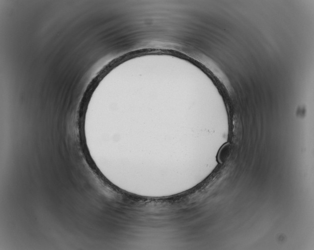 X0000101420972200808041124
