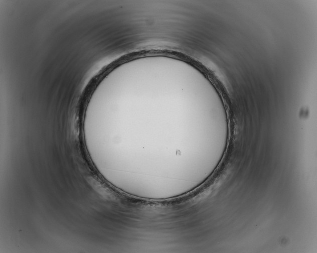 X0000101420973200808041124