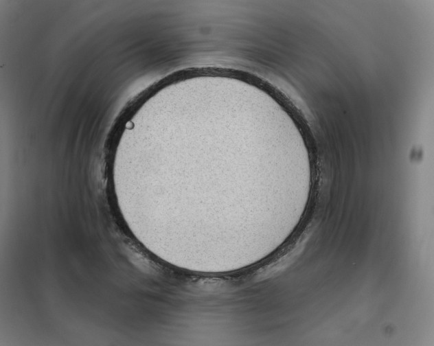 X0000101420974200808041124