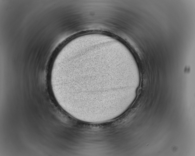 X0000101420975200808041124