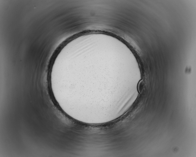 X0000101420976200808041124