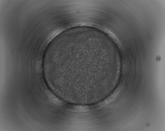 X0000101420977200808041124