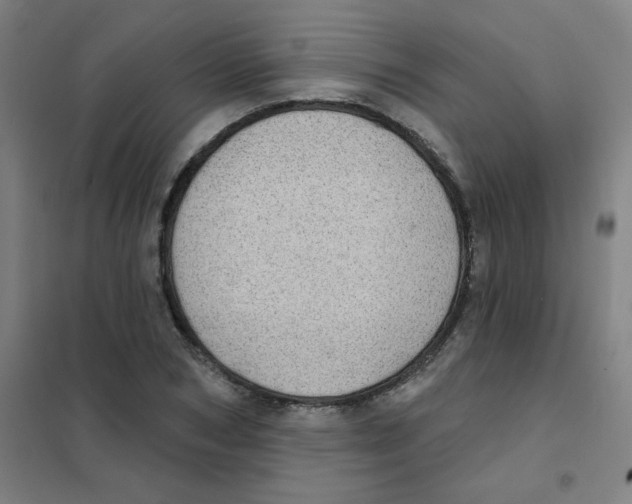 X0000101420978200808041124