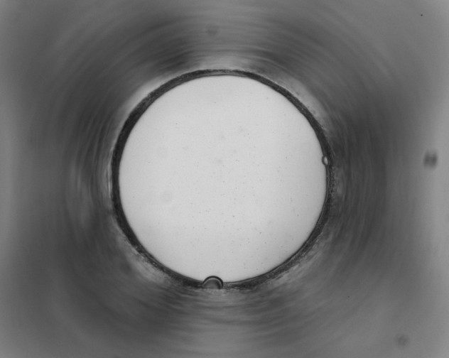 X0000101420980200808041124