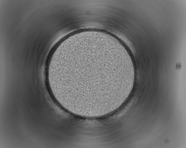 X0000101420983200808041124