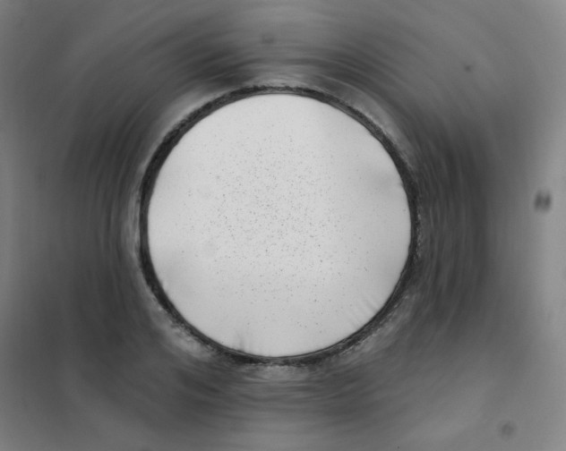 X0000101420984200808041124