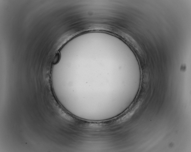 X0000101420985200808041124