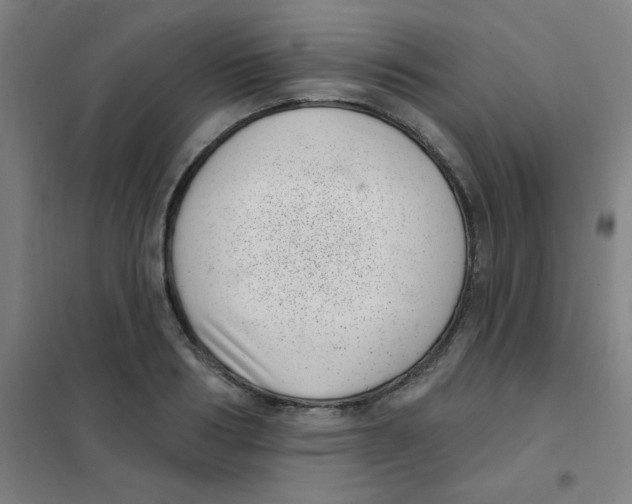 X0000101420986200808041124