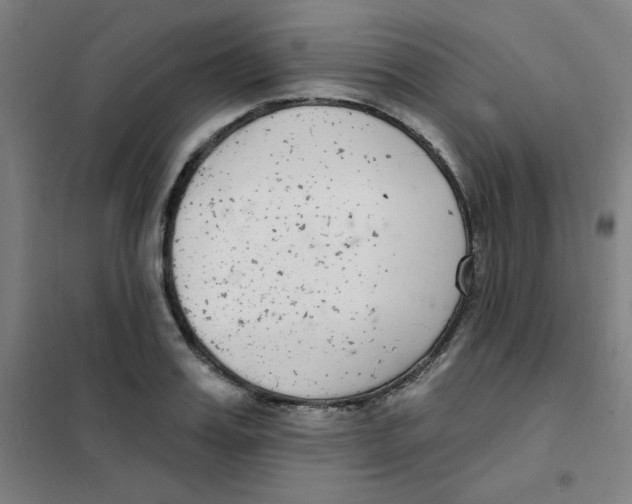 X0000101420987200808041124