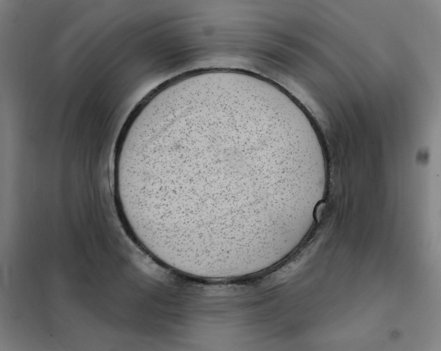X0000101420988200808041124