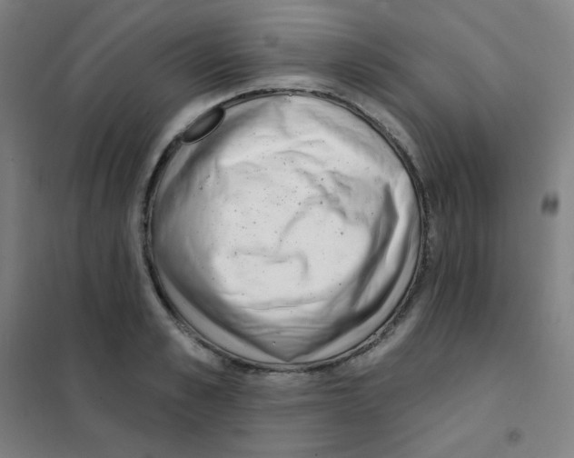 X0000101420989200808041124